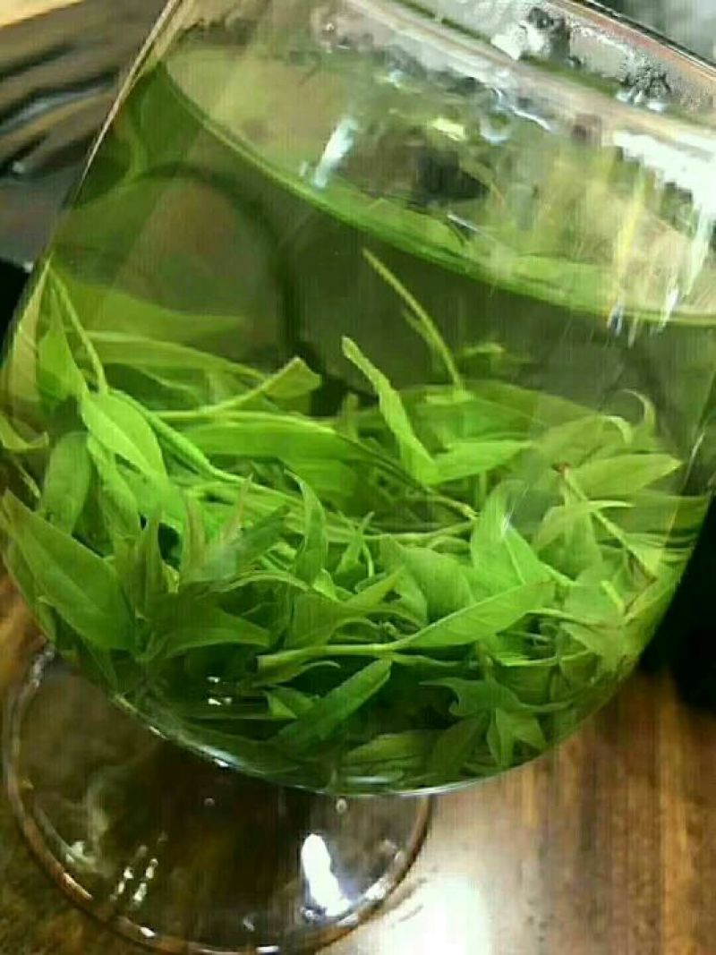 青山绿水、苦丁茶/金骏眉/茉莉花茶