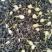 青山绿水、苦丁茶/金骏眉/茉莉花茶