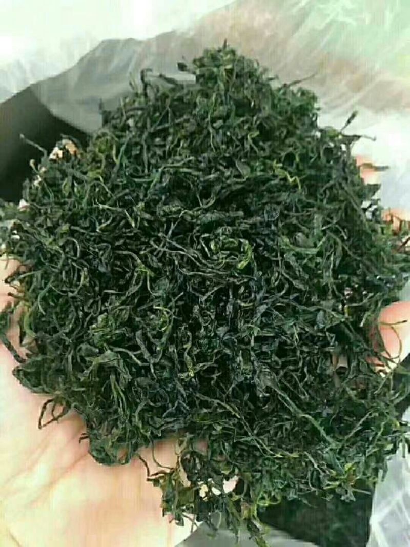 青山绿水、苦丁茶/金骏眉/茉莉花茶