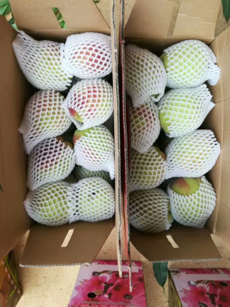 正宗连平鹰嘴水蜜桃