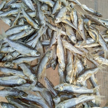 鄱阳湖餐条干