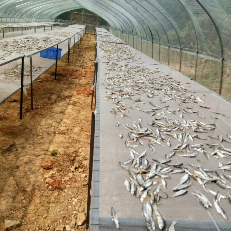 鄱阳湖餐条干