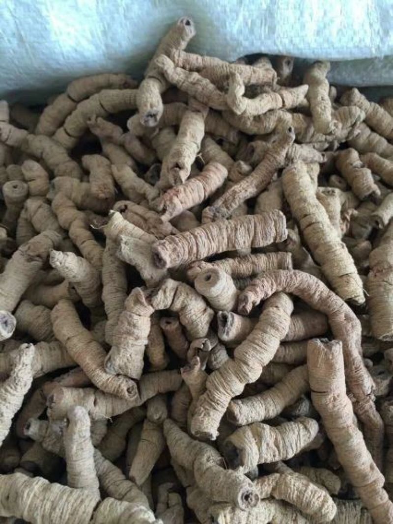 巴戟天(特标)精品中的精品，量少，要的可预定