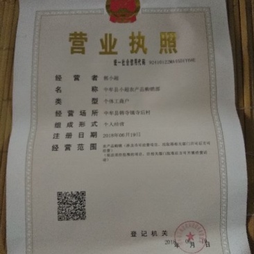 黑皮吊冬瓜产地直发、一手货源……