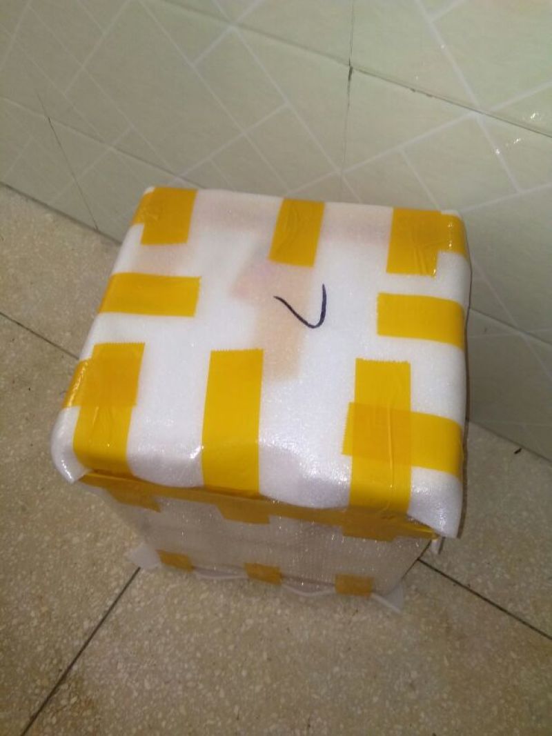 洋荷