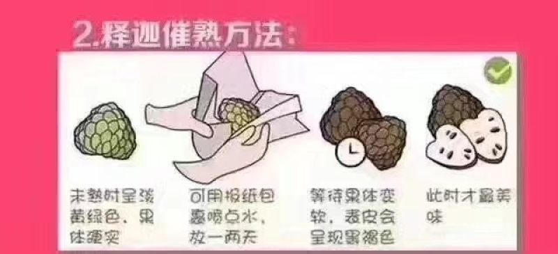释迦150~200g一级