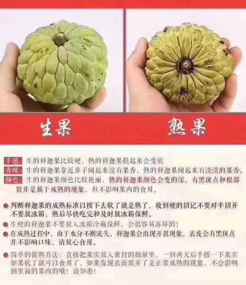 释迦100g以下一级