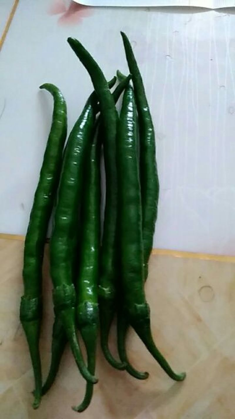 新鲜辣椒