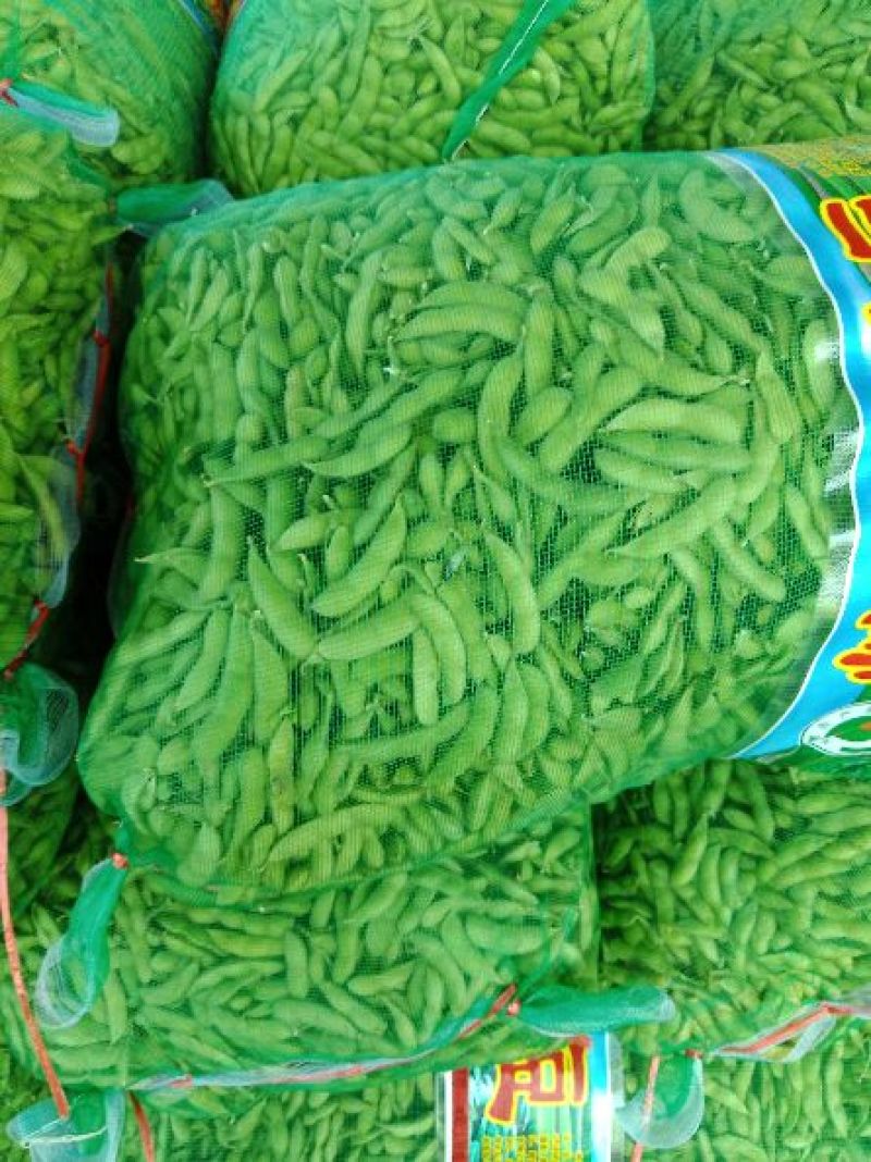 山东郯城县红花镇万亩毛豆大量上市