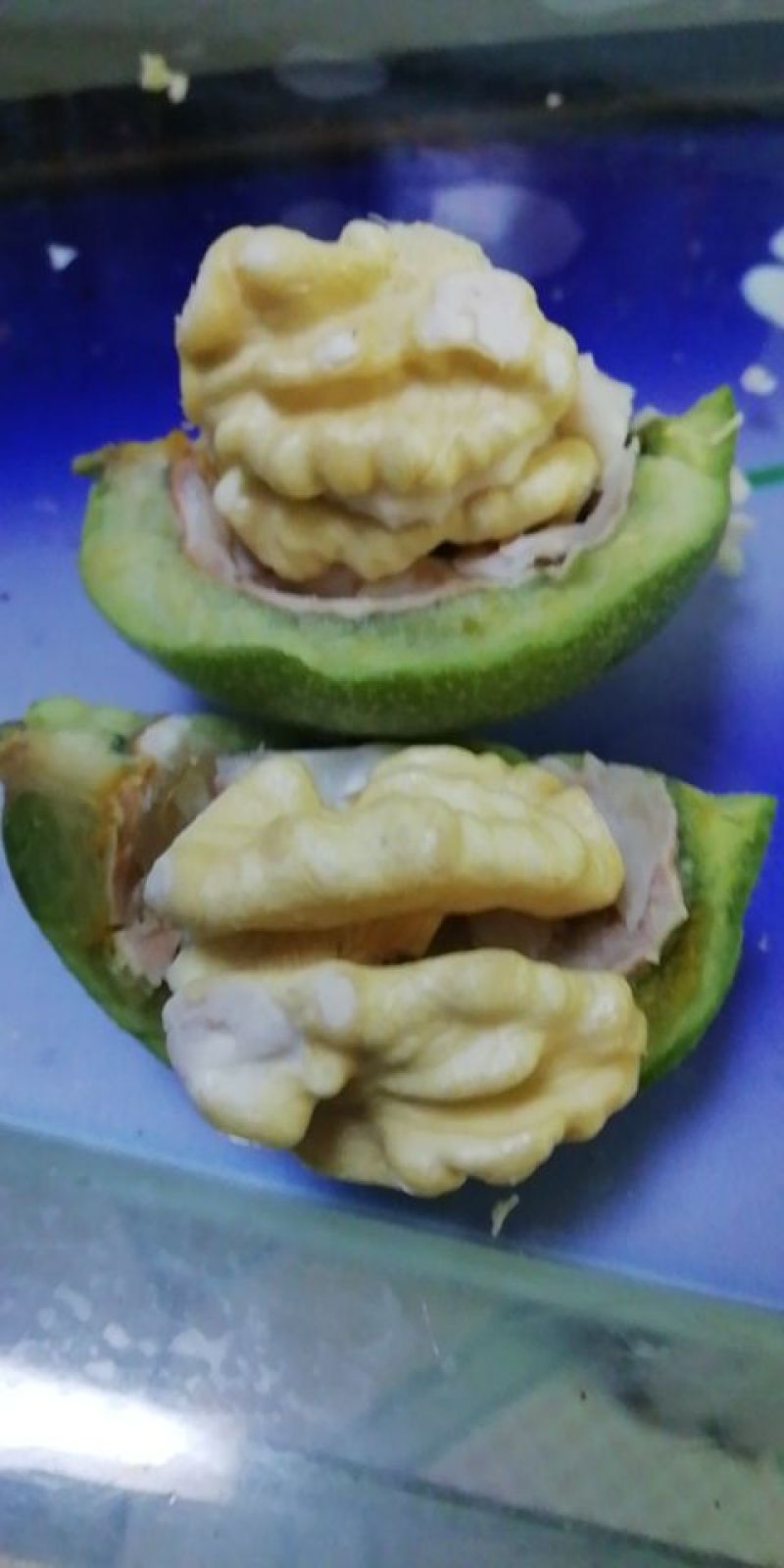 青皮核桃