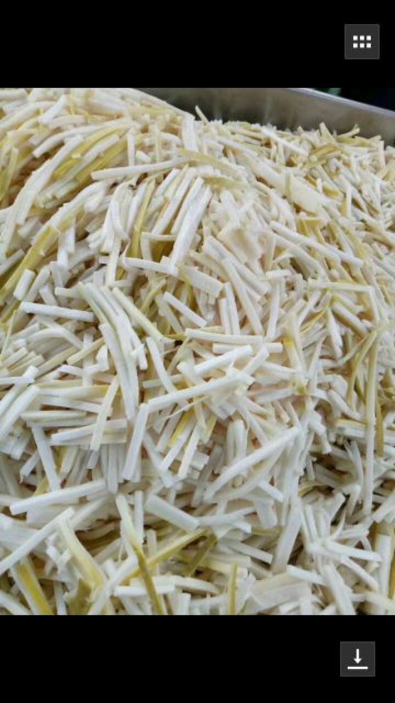 广东省英德市西牛镇老坛酸笋，麻竹酸笋，酸笋