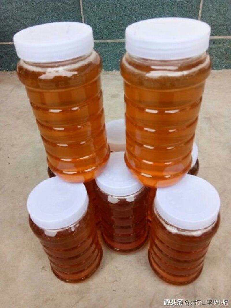 野生笨蜂蜜