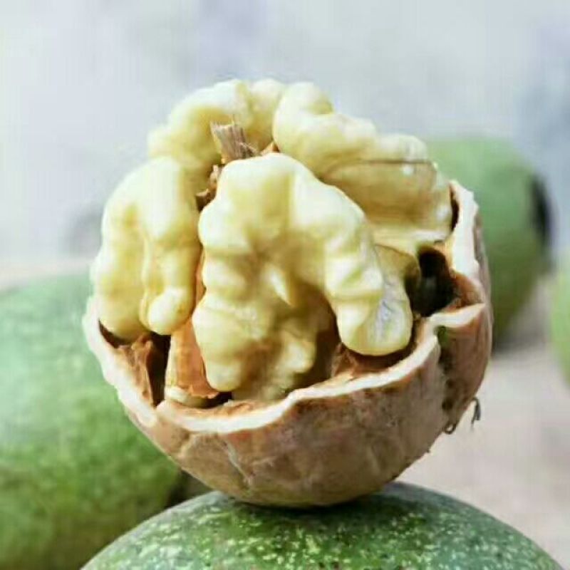 青皮核桃干核桃大量供应