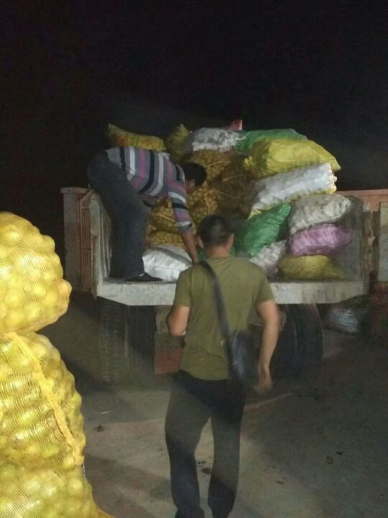 青皮核桃干核桃大量供应