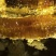 野生蜂蜜