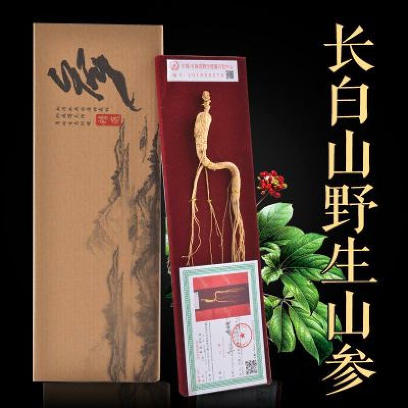 长白山人参林下山参礼盒泡酒参