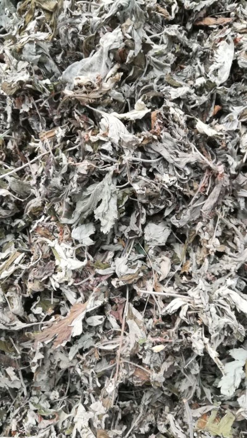 艾绒批发价。