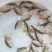 白鲳