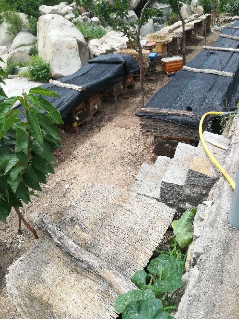 纯正农家蜂蜜