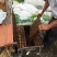 纯正农家蜂蜜