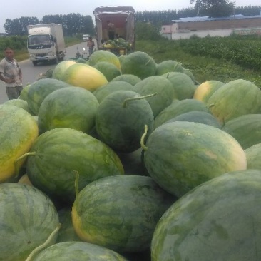 龙卷风西瓜大量上市需要的联系
