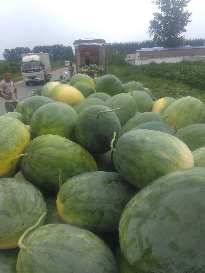 龙卷风西瓜大量上市需要的联系