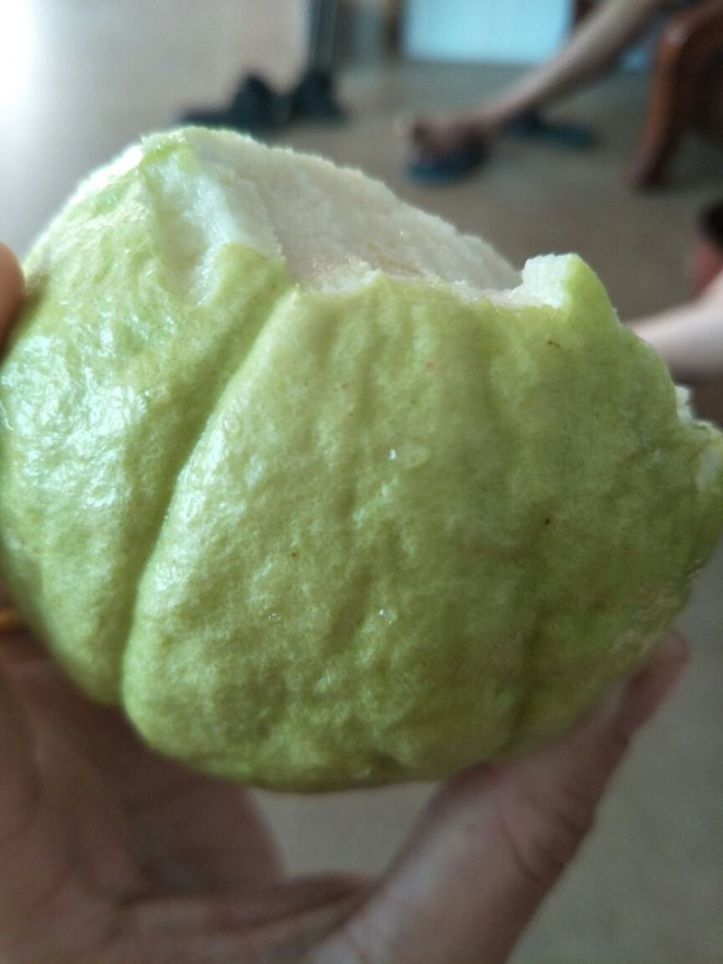 芭乐
