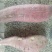 北京红地瓜六鳌地瓜沙地种植