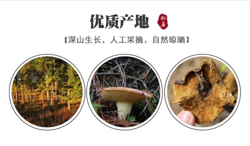 松蘑二级