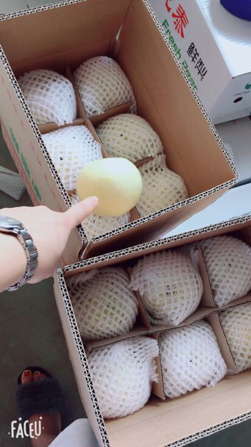绿宝石梨白色宝石梨支持电商一件代发