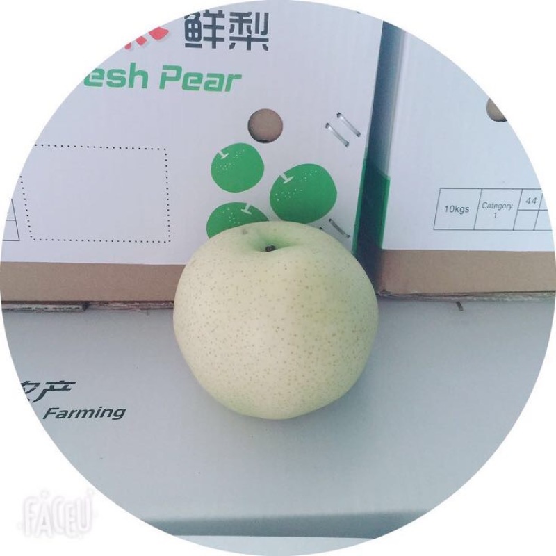 绿宝石梨白色宝石梨支持电商一件代发