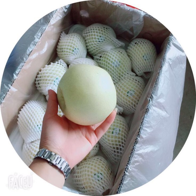绿宝石梨白色宝石梨支持电商一件代发