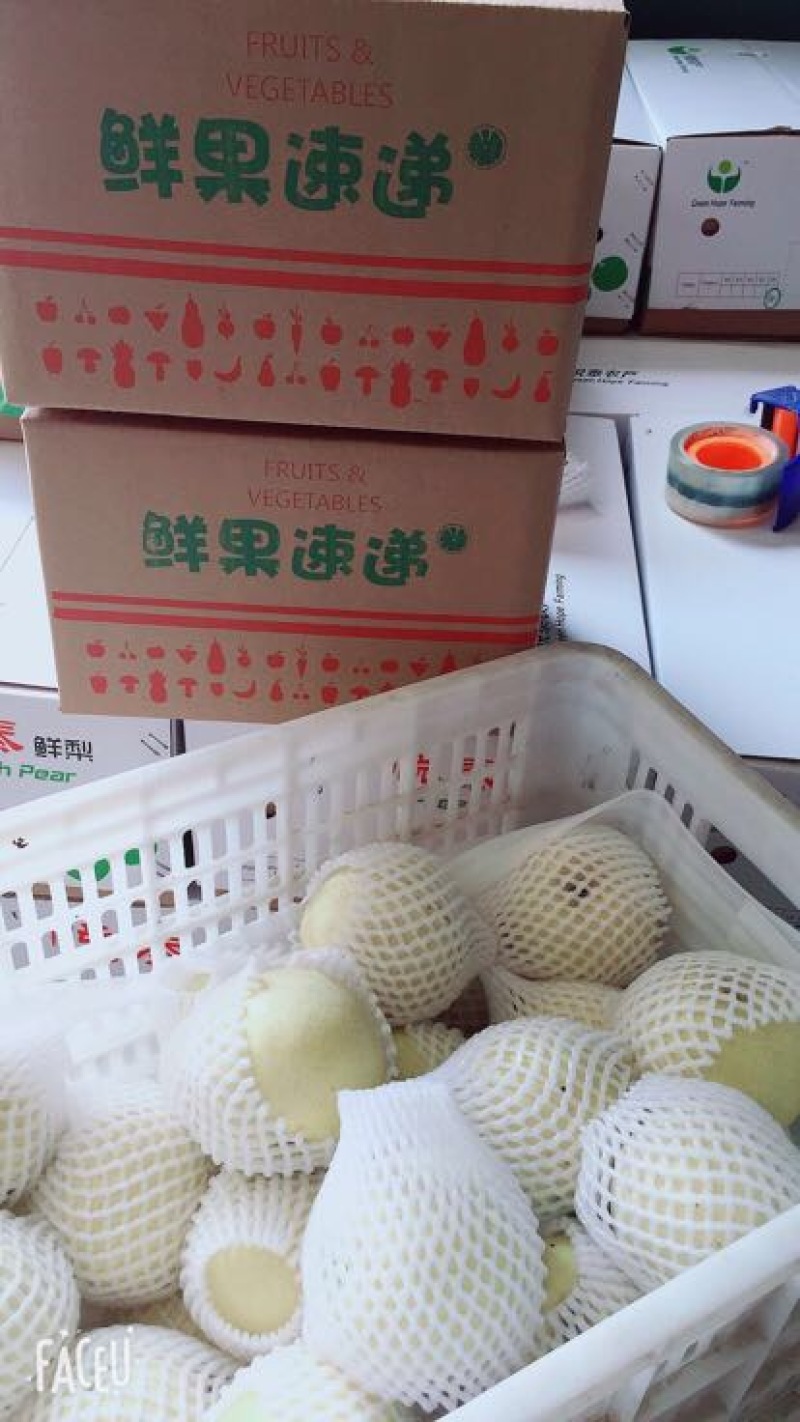 绿宝石梨白色宝石梨支持电商一件代发