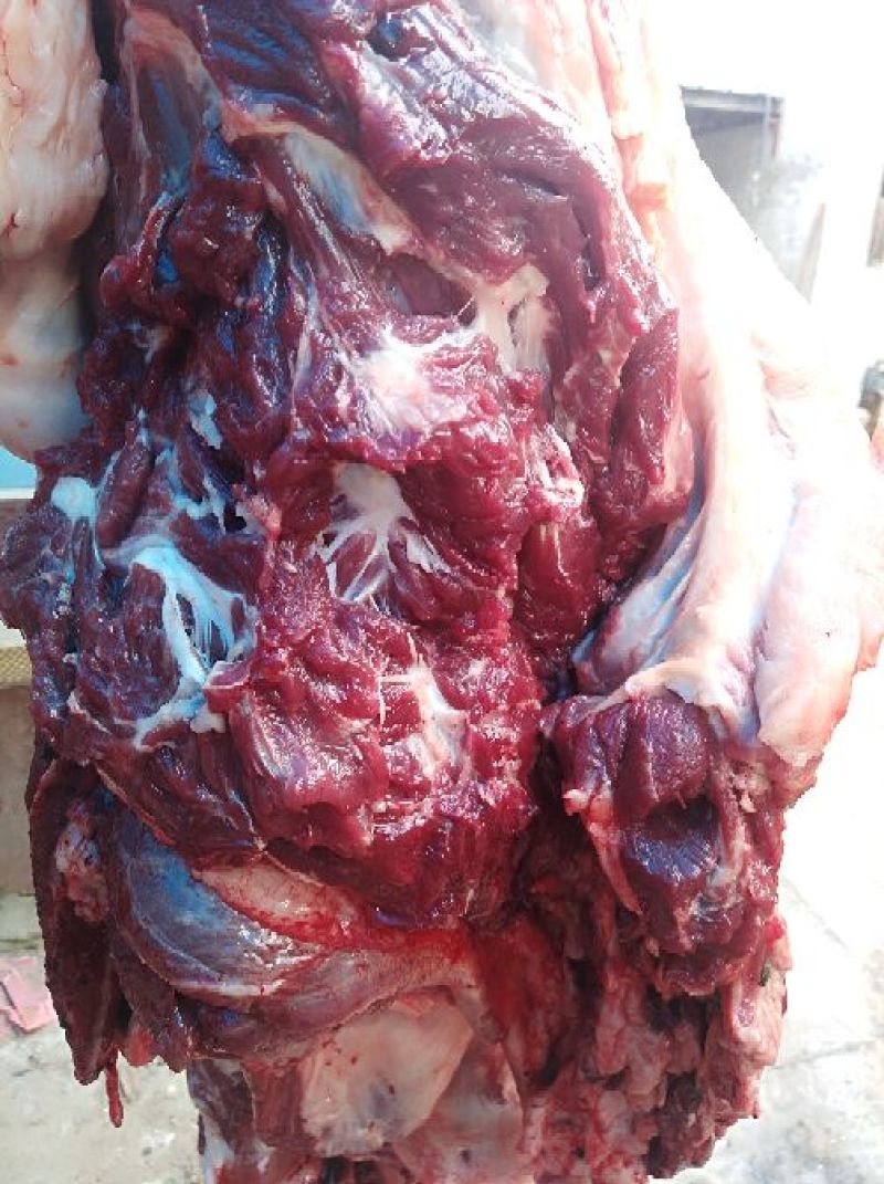 生熟驴肉