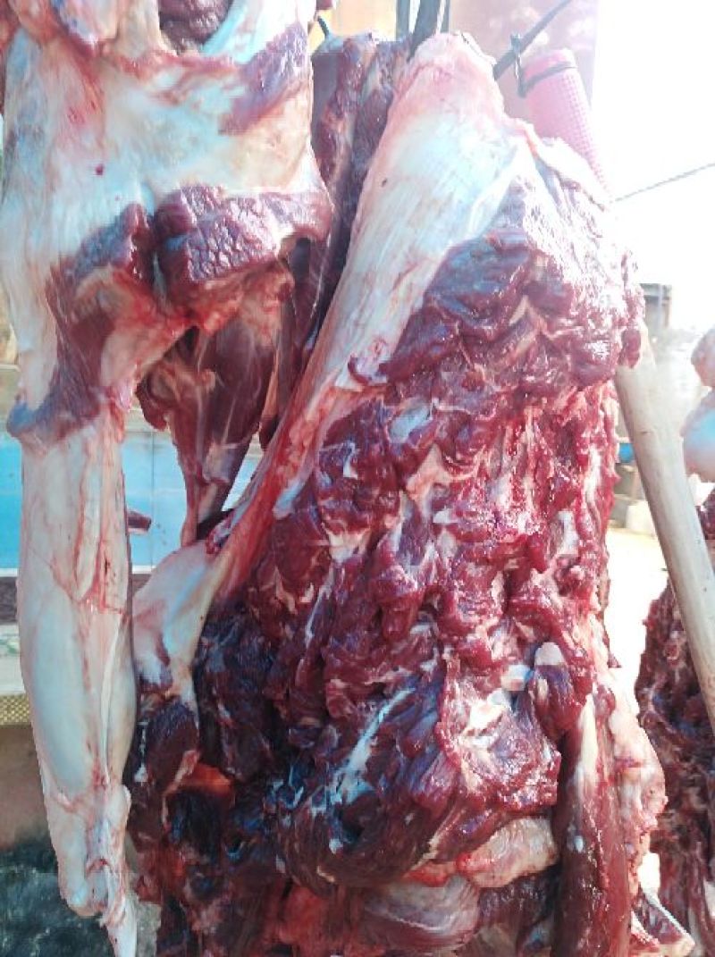 生熟驴肉