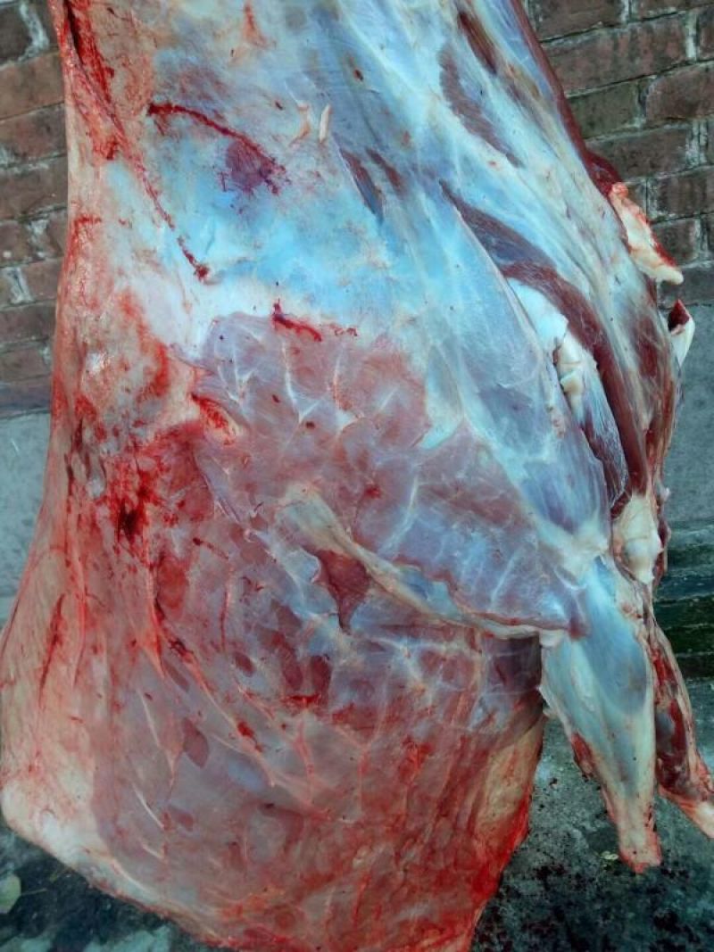 生鲜驴肉