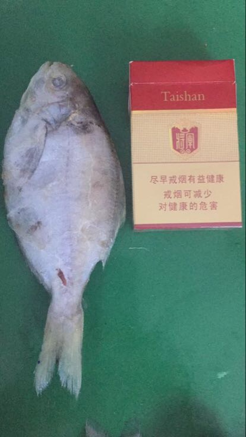 刀鱼冰鲜鱼