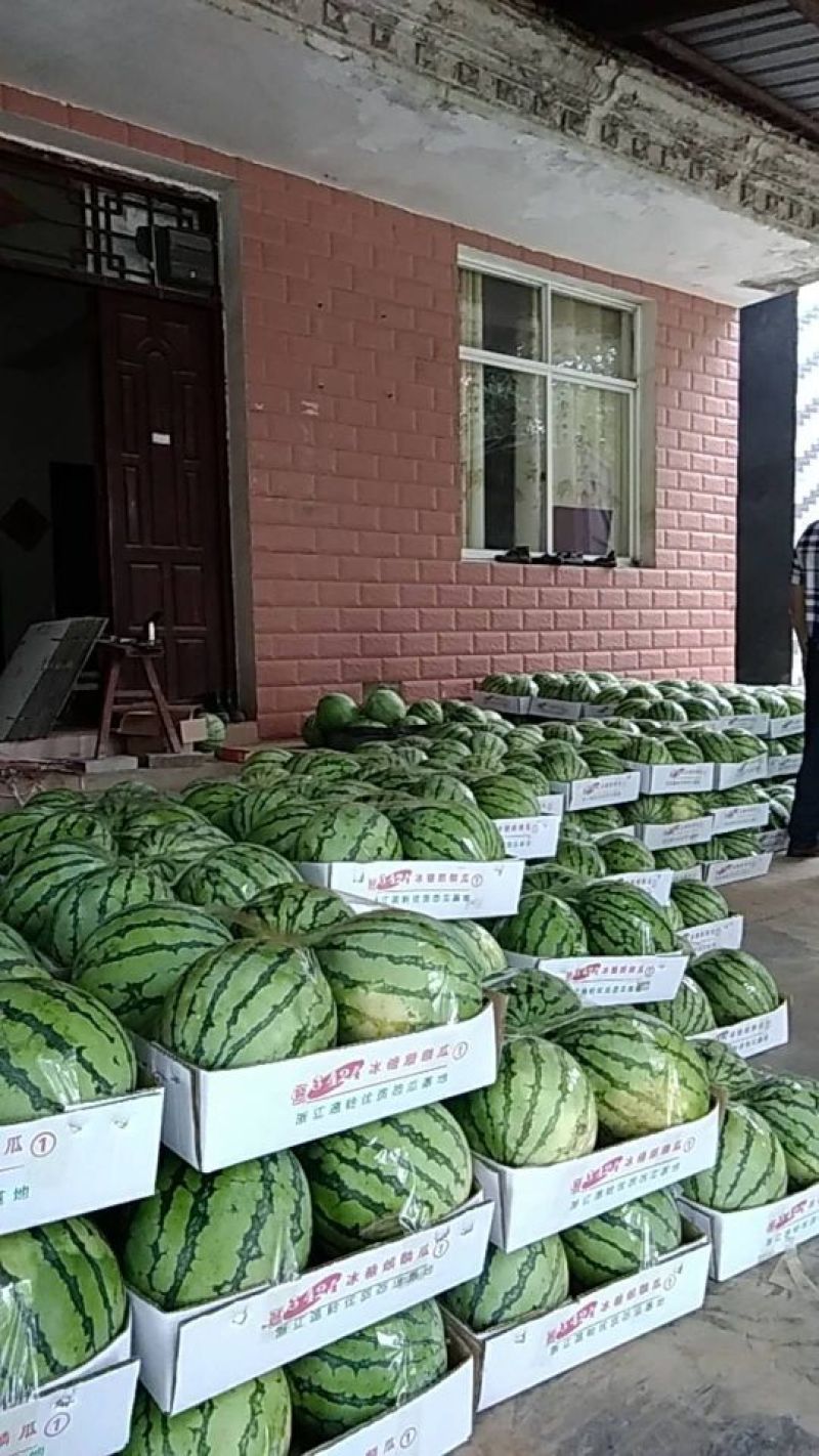 大棚麒麟西瓜，美都西瓜，9成熟，甜度高