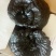 纯野生灵芝
