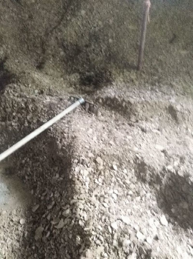 湖南省沅江市油菜籽饼