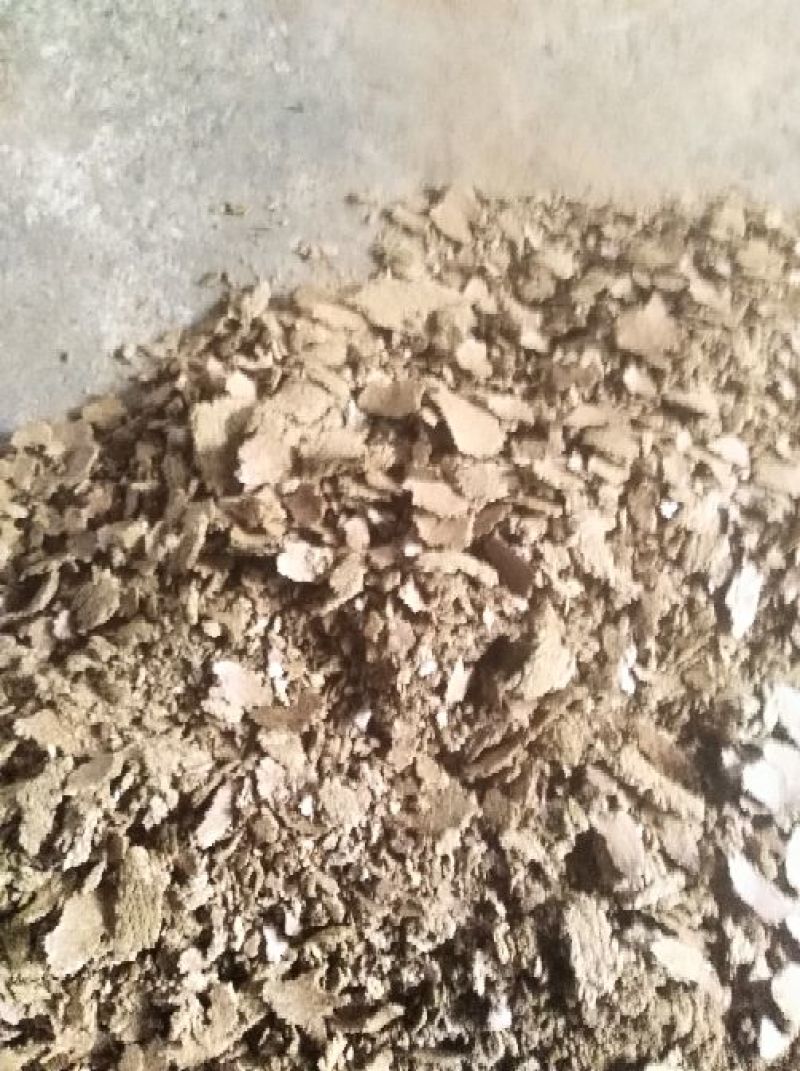 湖南省沅江市油菜籽饼