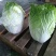 【今日推荐】湖北黄心大白菜，产地直发，货源稳定，品质保证