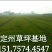 早熟禾草坪，卫矛