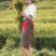 大米高原有机大米，软糯香甜，油亮飘香，安全放心