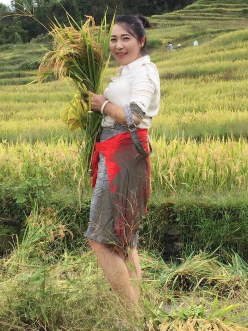 大米高原有机大米，软糯香甜，油亮飘香，安全放心