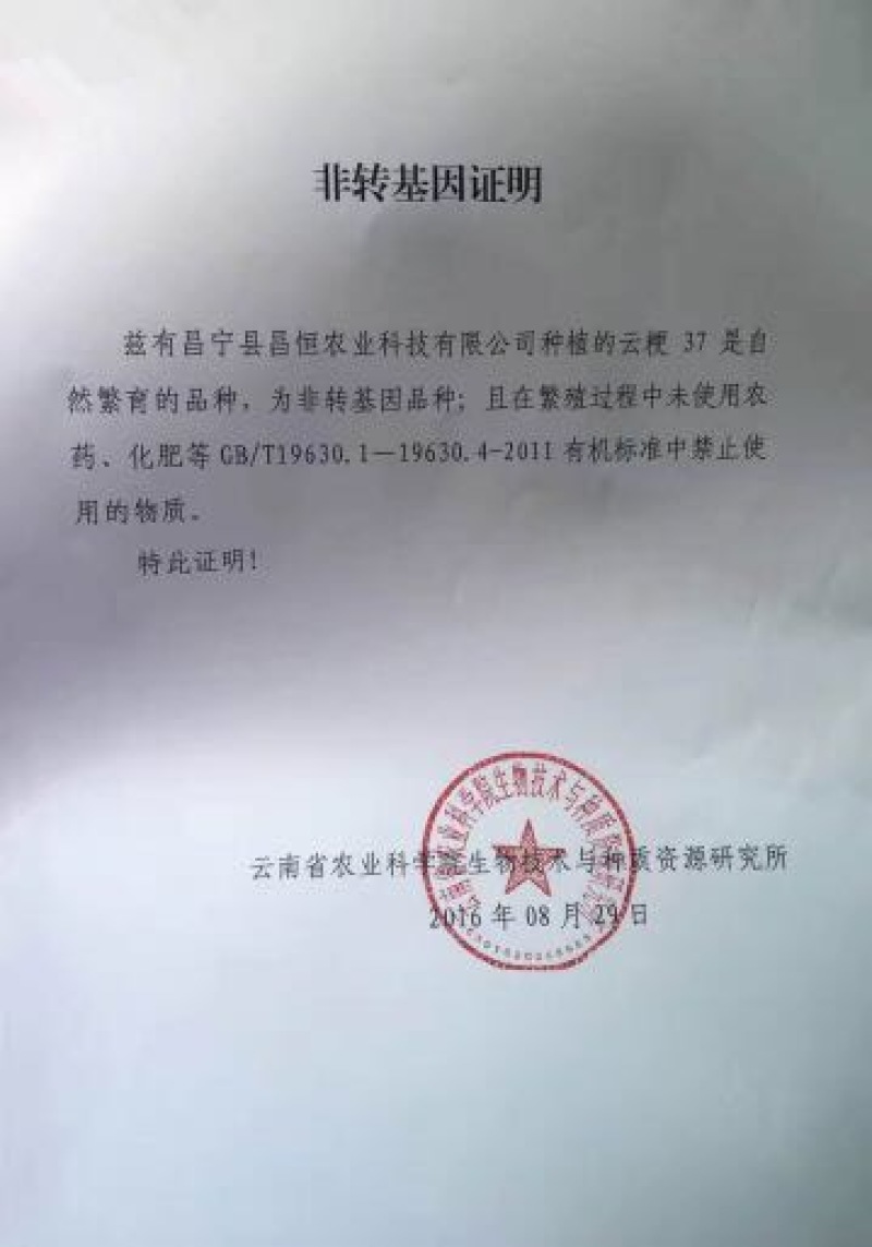 大米高原有机大米，软糯香甜，油亮飘香，安全放心