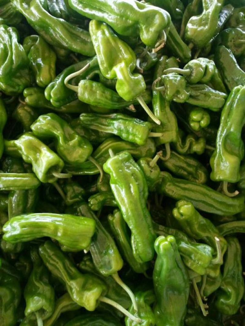 芜湖砀椒