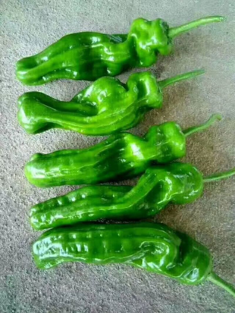芜湖砀椒