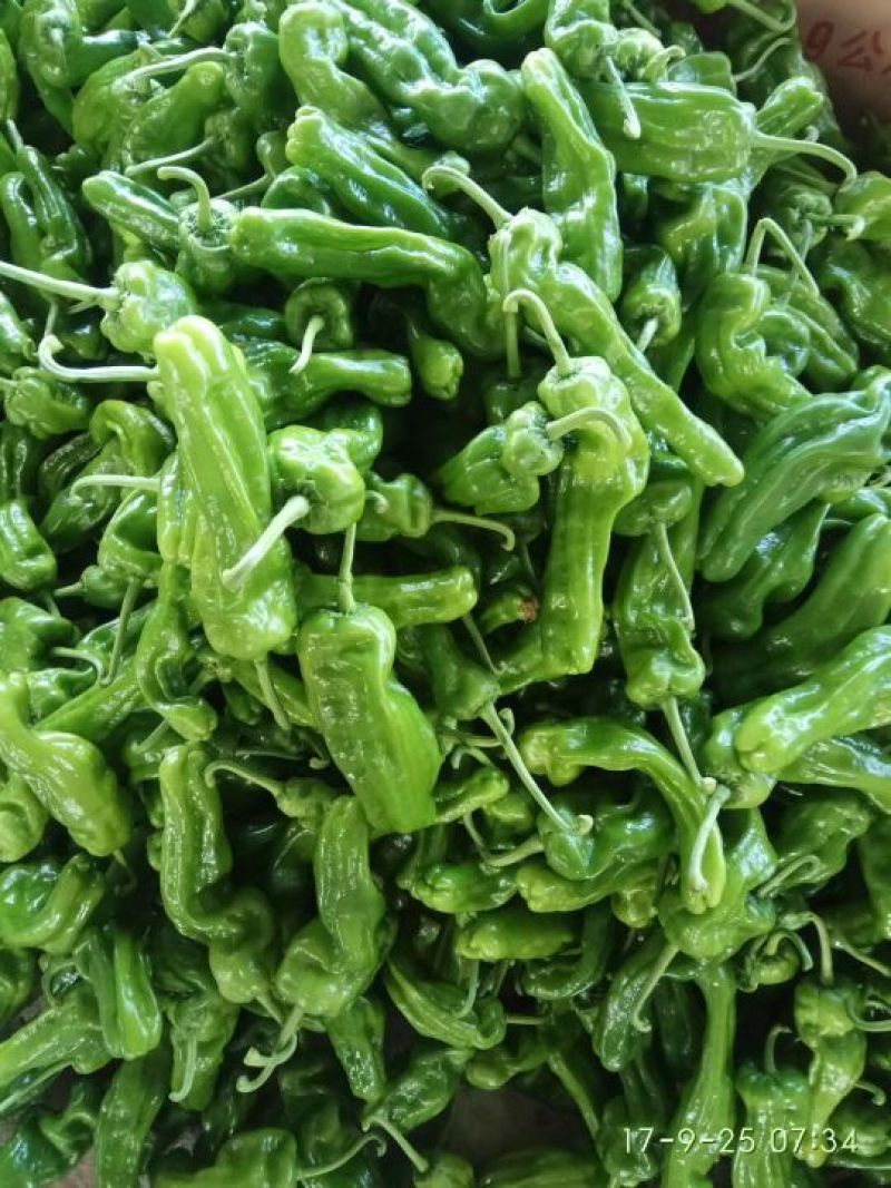 芜湖砀椒