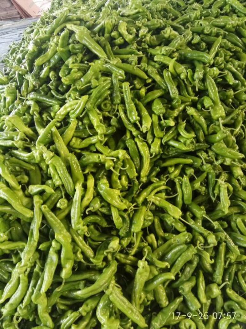 芜湖砀椒